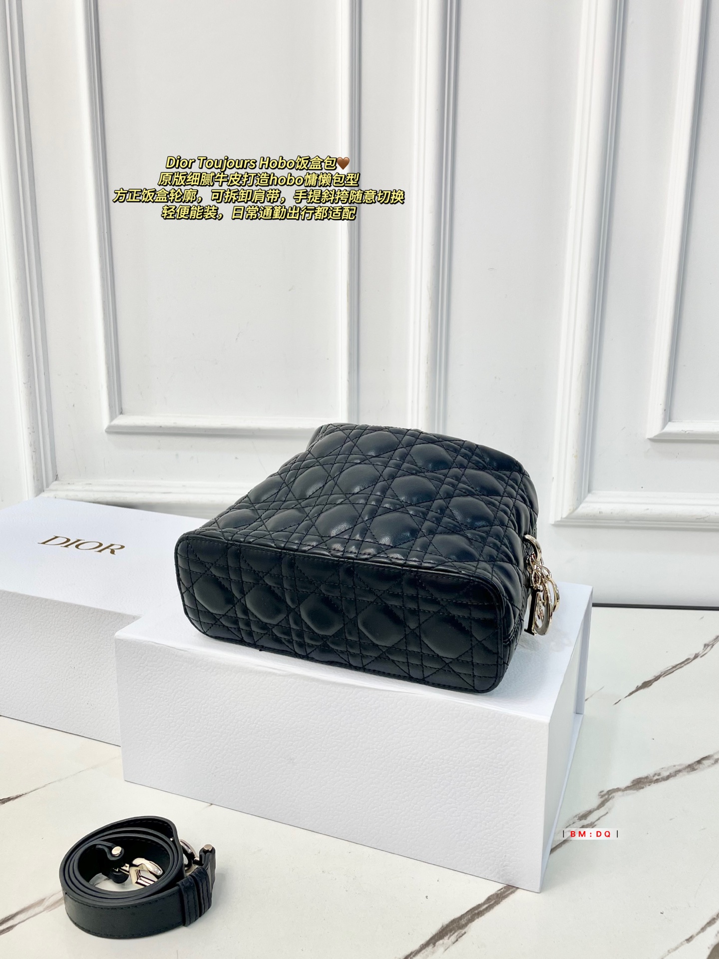 Dior Sac Femme
