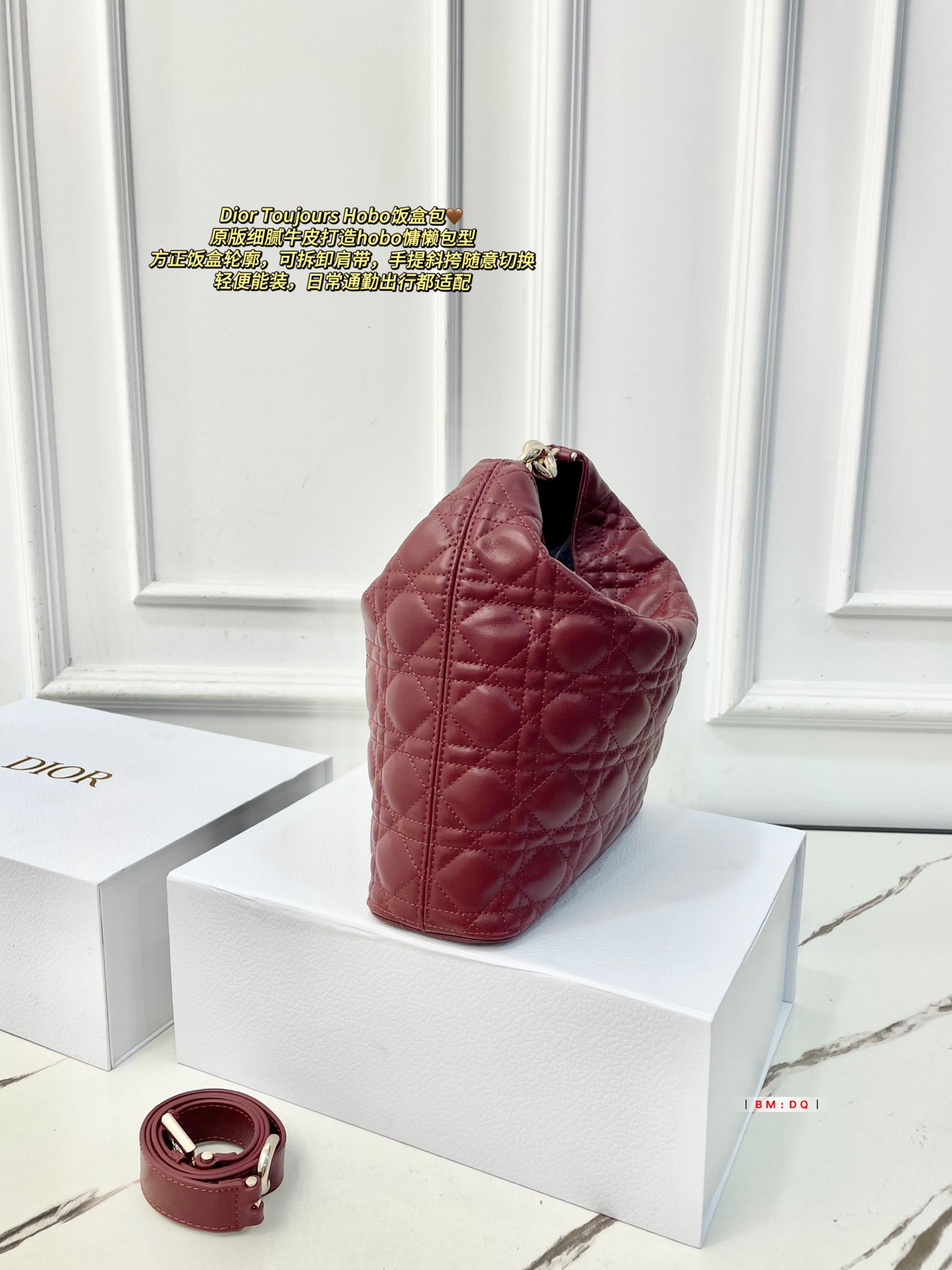 Dior Sac Femme